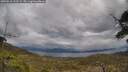 ./images/calvert/fitz-hugh-hecate/20250510/fitz-hugh-hecate20250510_133509M.jpg