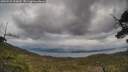 ./images/calvert/fitz-hugh-hecate/20250510/fitz-hugh-hecate20250510_134010M.jpg