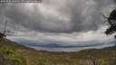 ./images/calvert/fitz-hugh-hecate/20250510/fitz-hugh-hecate20250510_134510M.jpg