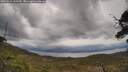 ./images/calvert/fitz-hugh-hecate/20250510/fitz-hugh-hecate20250510_135510M.jpg