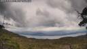 ./images/calvert/fitz-hugh-hecate/20250510/fitz-hugh-hecate20250510_140009M.jpg
