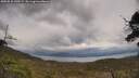 ./images/calvert/fitz-hugh-hecate/20250510/fitz-hugh-hecate20250510_140509M.jpg