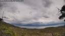 ./images/calvert/fitz-hugh-hecate/20250510/fitz-hugh-hecate20250510_141010M.jpg