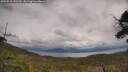 ./images/calvert/fitz-hugh-hecate/20250510/fitz-hugh-hecate20250510_141510M.jpg