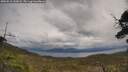 ./images/calvert/fitz-hugh-hecate/20250510/fitz-hugh-hecate20250510_142007M.jpg