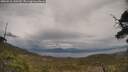 ./images/calvert/fitz-hugh-hecate/20250510/fitz-hugh-hecate20250510_143509M.jpg