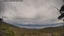 ./images/calvert/fitz-hugh-hecate/20250510/fitz-hugh-hecate20250510_144010M.jpg