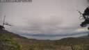 ./images/calvert/fitz-hugh-hecate/20250510/fitz-hugh-hecate20250510_144510M.jpg
