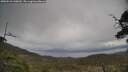 ./images/calvert/fitz-hugh-hecate/20250510/fitz-hugh-hecate20250510_145010M.jpg