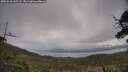./images/calvert/fitz-hugh-hecate/20250510/fitz-hugh-hecate20250510_145508M.jpg