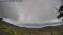 ./images/calvert/fitz-hugh-hecate/20250510/fitz-hugh-hecate20250510_150011M.jpg