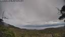 ./images/calvert/fitz-hugh-hecate/20250510/fitz-hugh-hecate20250510_150506M.jpg
