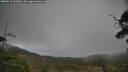 ./images/calvert/fitz-hugh-hecate/20250510/fitz-hugh-hecate20250510_151009M.jpg