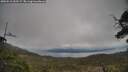 ./images/calvert/fitz-hugh-hecate/20250510/fitz-hugh-hecate20250510_152507M.jpg