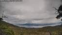 ./images/calvert/fitz-hugh-hecate/20250510/fitz-hugh-hecate20250510_153009M.jpg