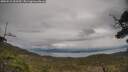 ./images/calvert/fitz-hugh-hecate/20250510/fitz-hugh-hecate20250510_153509M.jpg