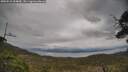 ./images/calvert/fitz-hugh-hecate/20250510/fitz-hugh-hecate20250510_154010M.jpg