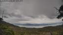 ./images/calvert/fitz-hugh-hecate/20250510/fitz-hugh-hecate20250510_154510M.jpg