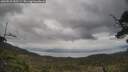 ./images/calvert/fitz-hugh-hecate/20250510/fitz-hugh-hecate20250510_160509M.jpg
