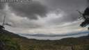./images/calvert/fitz-hugh-hecate/20250510/fitz-hugh-hecate20250510_161509M.jpg