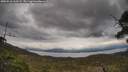 ./images/calvert/fitz-hugh-hecate/20250510/fitz-hugh-hecate20250510_162509M.jpg
