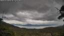 ./images/calvert/fitz-hugh-hecate/20250510/fitz-hugh-hecate20250510_164510M.jpg