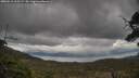./images/calvert/fitz-hugh-hecate/20250510/fitz-hugh-hecate20250510_165509M.jpg