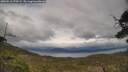 ./images/calvert/fitz-hugh-hecate/20250510/fitz-hugh-hecate20250510_170509M.jpg