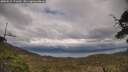 ./images/calvert/fitz-hugh-hecate/20250510/fitz-hugh-hecate20250510_171010M.jpg