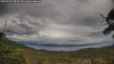 ./images/calvert/fitz-hugh-hecate/20250510/fitz-hugh-hecate20250510_174510M.jpg