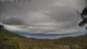 ./images/calvert/fitz-hugh-hecate/20250510/fitz-hugh-hecate20250510_175010M.jpg