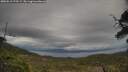 ./images/calvert/fitz-hugh-hecate/20250510/fitz-hugh-hecate20250510_175509M.jpg