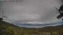 ./images/calvert/fitz-hugh-hecate/20250510/fitz-hugh-hecate20250510_180510M.jpg