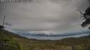 ./images/calvert/fitz-hugh-hecate/20250510/fitz-hugh-hecate20250510_181010M.jpg