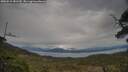 ./images/calvert/fitz-hugh-hecate/20250510/fitz-hugh-hecate20250510_181510M.jpg