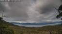 ./images/calvert/fitz-hugh-hecate/20250510/fitz-hugh-hecate20250510_184010M.jpg