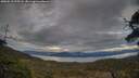 ./images/calvert/fitz-hugh-hecate/20250510/fitz-hugh-hecate20250510_195508M.jpg