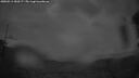 ./images/calvert/fitz-hugh-hecate/20250511/fitz-hugh-hecate20250511_050506M.jpg