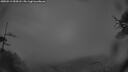 ./images/calvert/fitz-hugh-hecate/20250511/fitz-hugh-hecate20250511_052008M.jpg