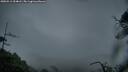 ./images/calvert/fitz-hugh-hecate/20250511/fitz-hugh-hecate20250511_054008M.jpg