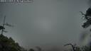./images/calvert/fitz-hugh-hecate/20250511/fitz-hugh-hecate20250511_055507M.jpg