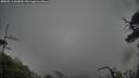 ./images/calvert/fitz-hugh-hecate/20250511/fitz-hugh-hecate20250511_060009M.jpg
