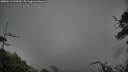 ./images/calvert/fitz-hugh-hecate/20250511/fitz-hugh-hecate20250511_060510M.jpg