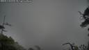./images/calvert/fitz-hugh-hecate/20250511/fitz-hugh-hecate20250511_062510M.jpg