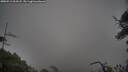 ./images/calvert/fitz-hugh-hecate/20250511/fitz-hugh-hecate20250511_063507M.jpg