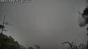 ./images/calvert/fitz-hugh-hecate/20250511/fitz-hugh-hecate20250511_064010M.jpg