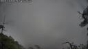 ./images/calvert/fitz-hugh-hecate/20250511/fitz-hugh-hecate20250511_065010M.jpg