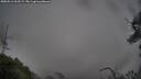 ./images/calvert/fitz-hugh-hecate/20250511/fitz-hugh-hecate20250511_065509M.jpg
