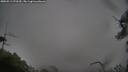 ./images/calvert/fitz-hugh-hecate/20250511/fitz-hugh-hecate20250511_070509M.jpg