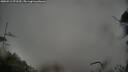 ./images/calvert/fitz-hugh-hecate/20250511/fitz-hugh-hecate20250511_071509M.jpg